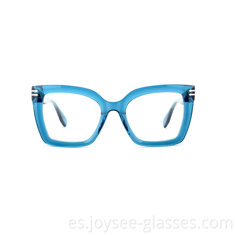 Big Cat Eye Glasses 5